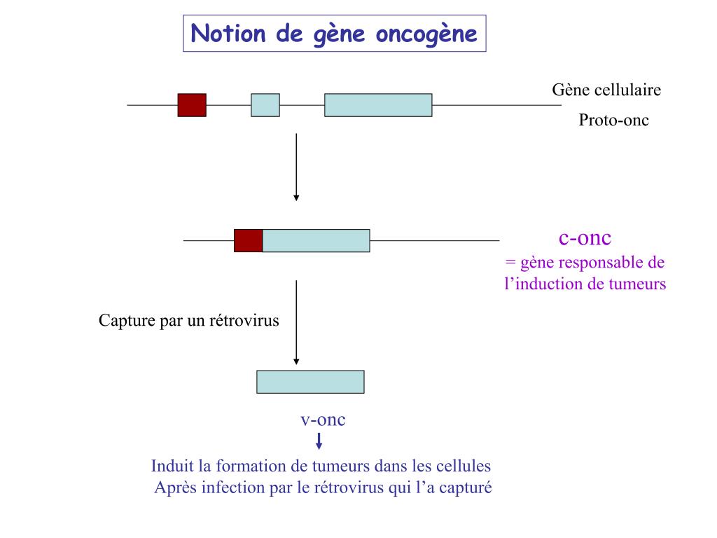 PPT  Les Rétrovirus PowerPoint Presentation, free download  ID346944