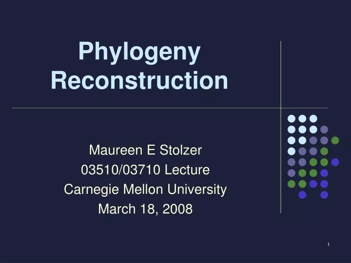phylogeny reconstruction n.