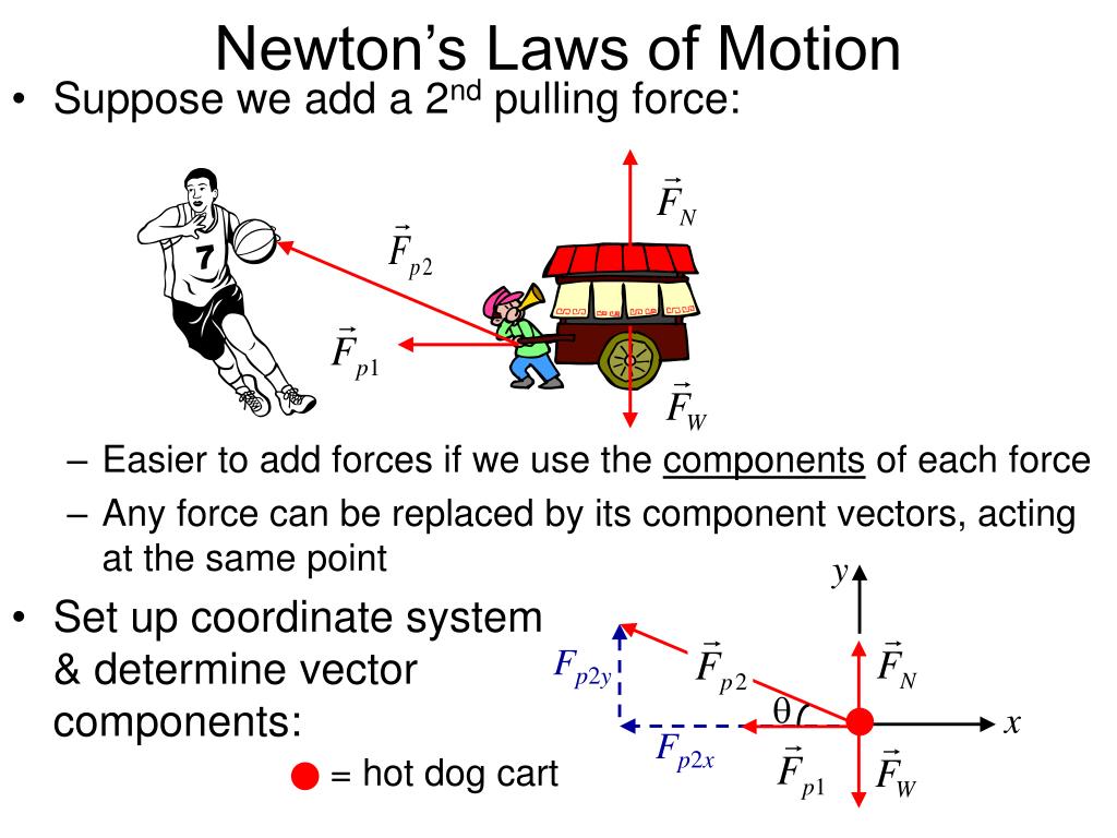 Newton's First Law Of Motion Animation