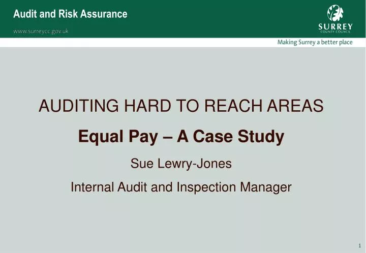 audit and risk assurance n.
