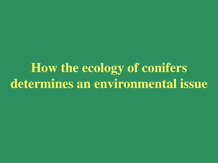 how the ecology of conifers determines an environmental issue n.
