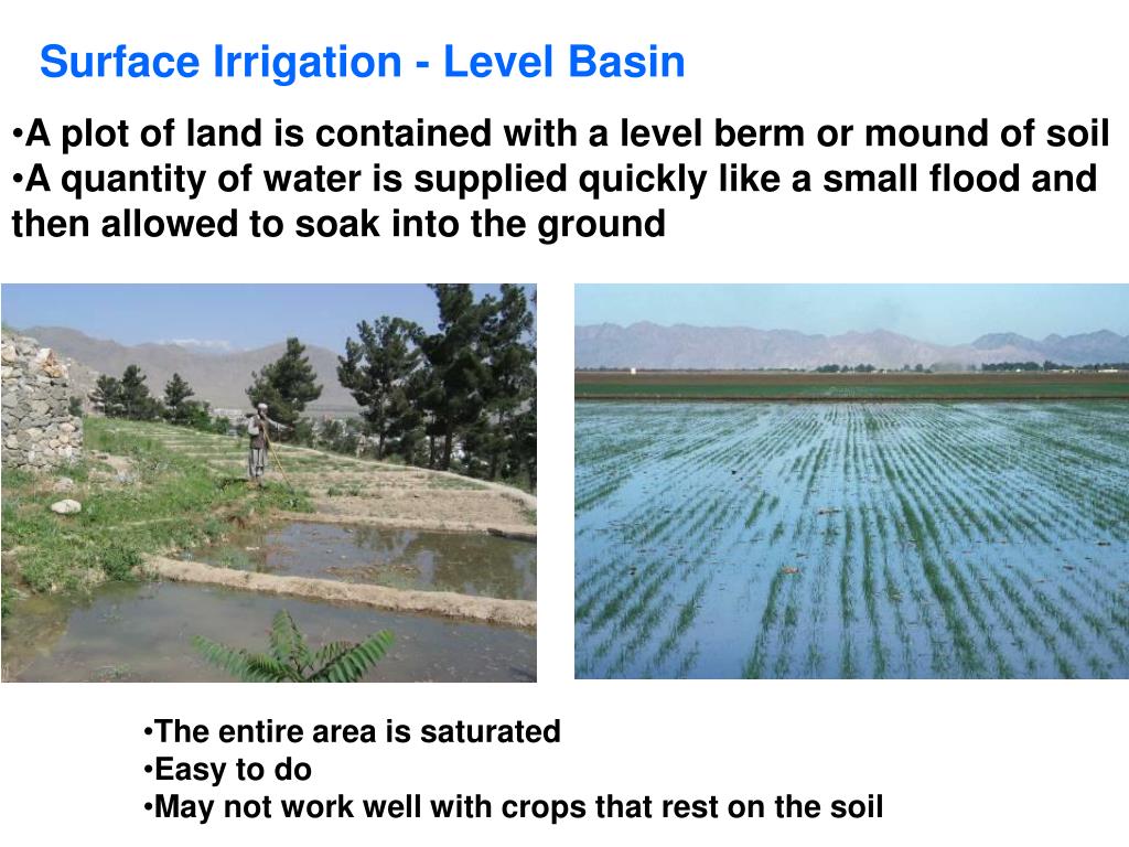 Ppt Introduction To Surface Irrigation Powerpoint Presentation Free Download Id 349658
