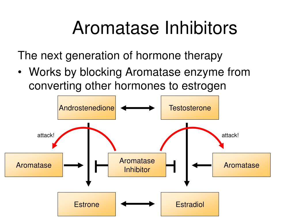 PPT Knowledge is Power Updates in Oncology PowerPoint