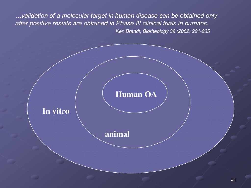 PPT - Osteoarthritis (OA): in vitro and animal models PowerPoint  Presentation - ID:350607