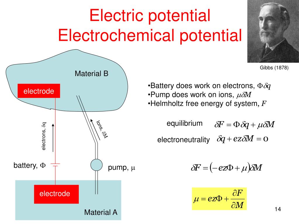 PPT - Soft Active Materials PowerPoint Presentation, free ...