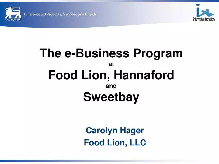 food lion llc
