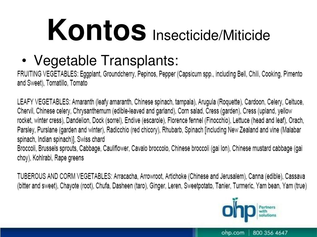 PPT - What is a Kontos? PowerPoint Presentation, free download - ID:353414