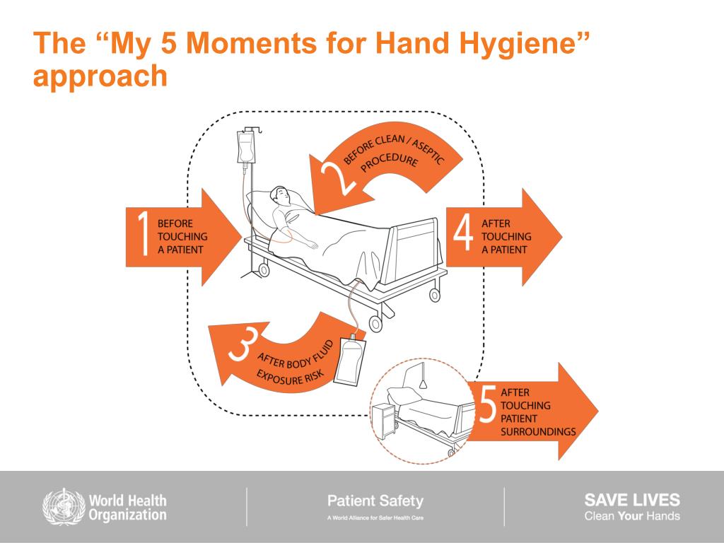 PPT - Health Care-Associated Infection and Hand Hygiene Improvement ...