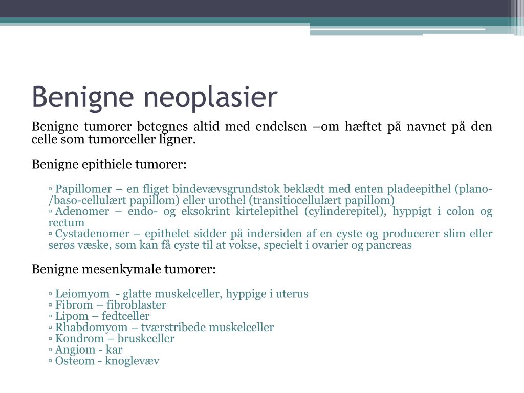 PPT - Neoplasi PowerPoint Presentation, free download - ID:354014