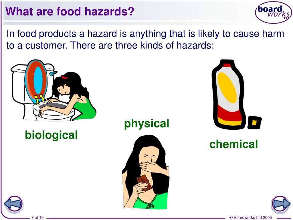 Food Hazards Consumer Food Safety Washington State Un Vrogue co food-hazards-consumer-food-safety-washington-state-un-vrogue-co