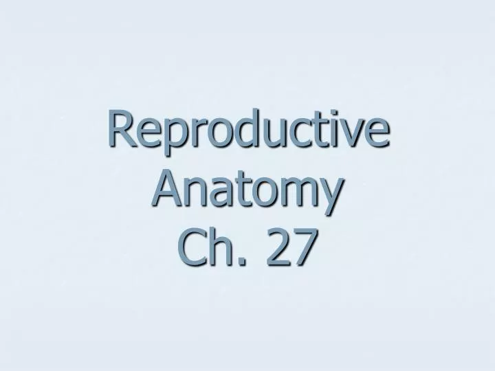 reproductive anatomy ch 27 n.