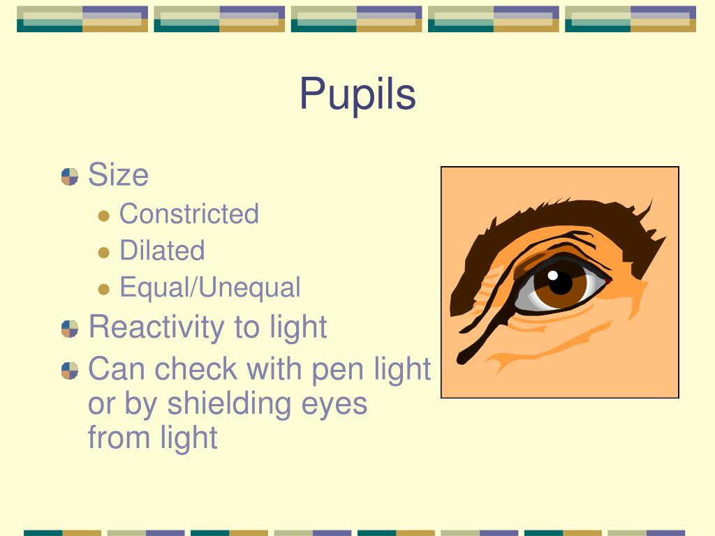unequal pupil size but constrict equally unequal pupil size but constrict equally