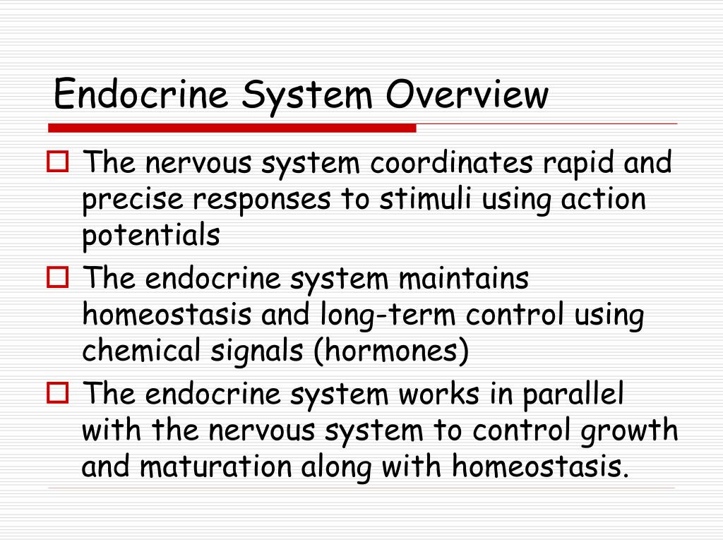 PPT - Medications and the Endocrine System PowerPoint Presentation