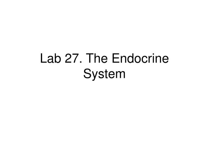 lab 27 the endocrine system n.