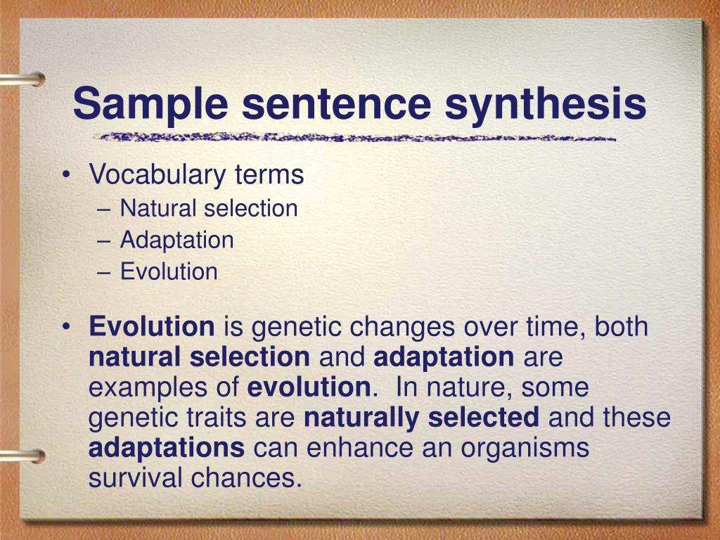 Synthesis Example Sentence