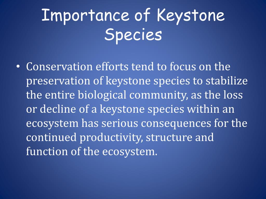 ppt-keystone-species-powerpoint-presentation-free-download-id-356863