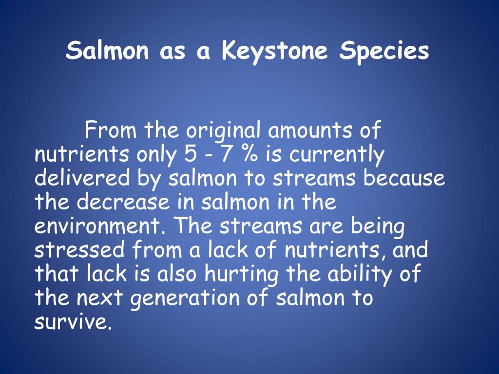 PPT - Keystone Species PowerPoint Presentation, free download - ID:356863