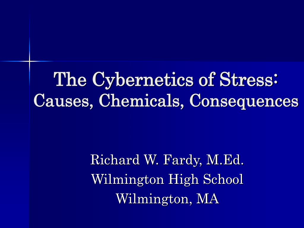 causes of stress in high school causes of stress in high school