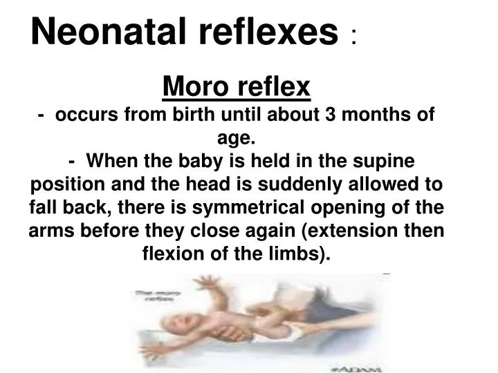 infant reflexes are
