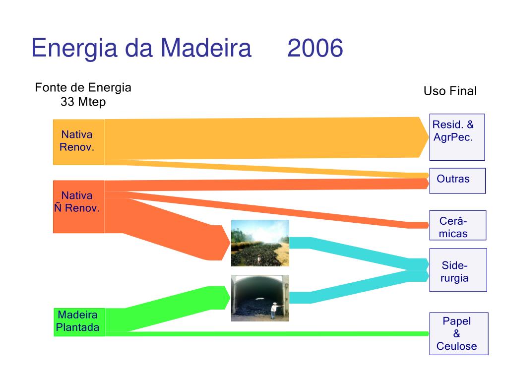 PPT - Madeira Energética Organizando o mercado PowerPoint Presentation ...
