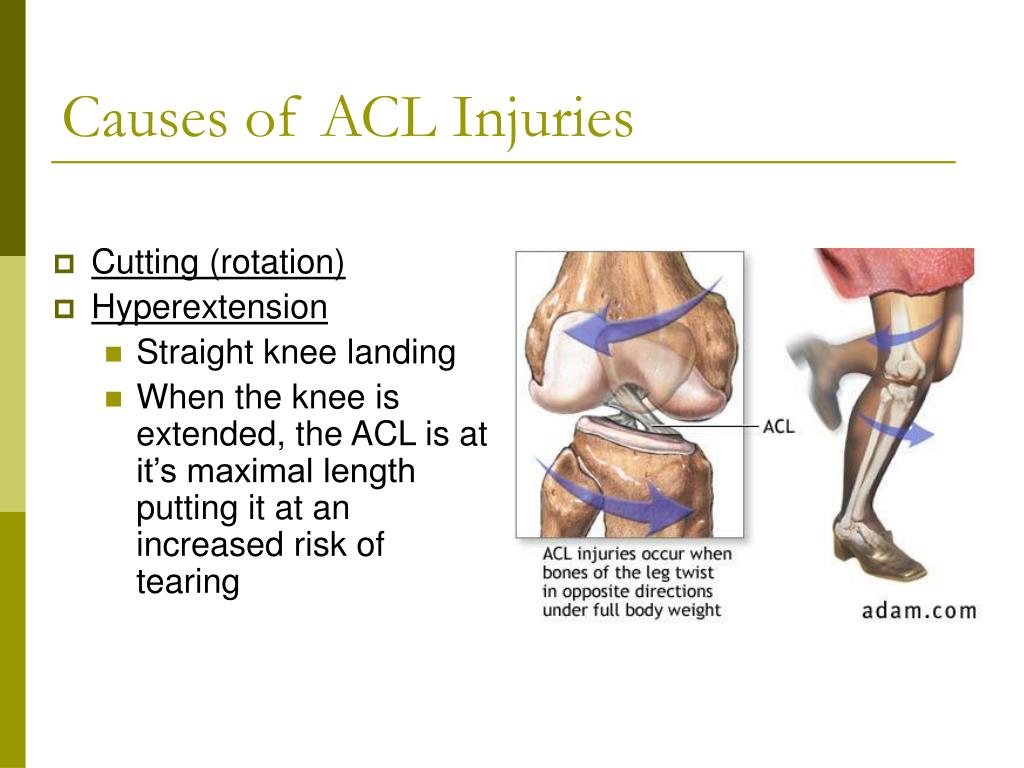 Knee Colwelaw