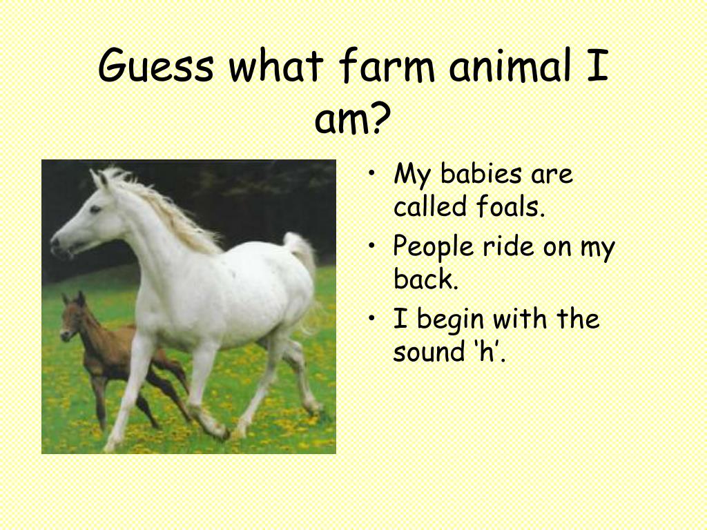 PPT - Farm Animals PowerPoint Presentation, free download - ID:360305
