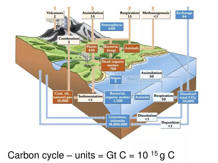 carbon cycle units gt c 10 15 g c n.