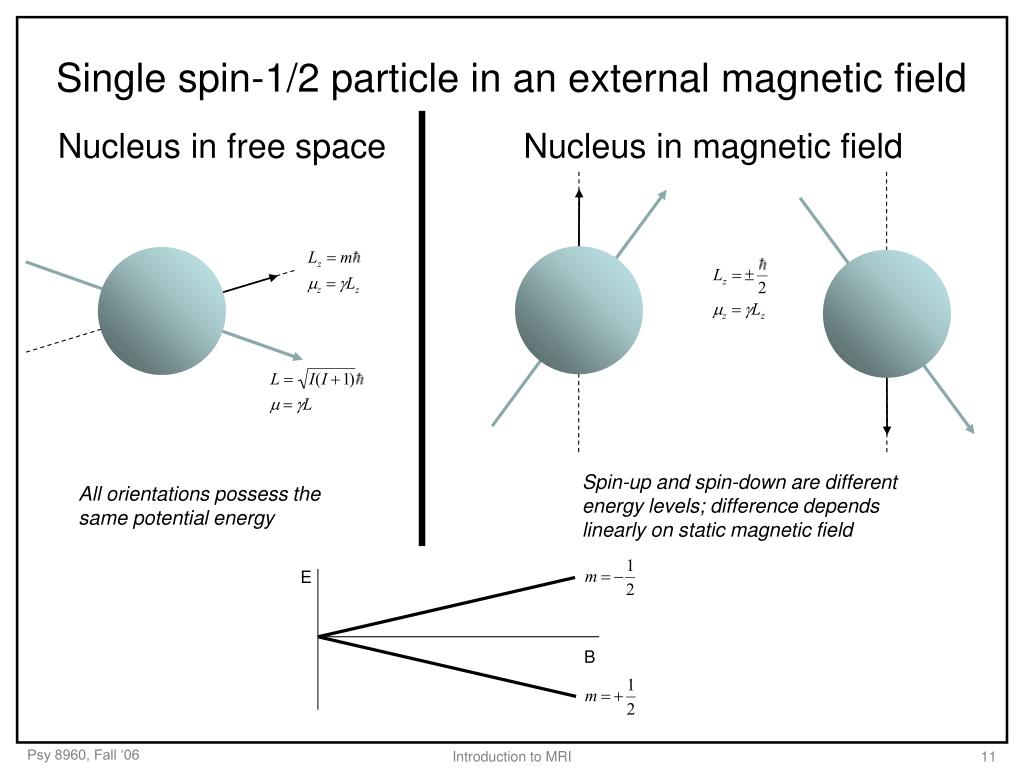 Спин Протона. Static Magnetic Analysis перевод. Random fields and Spin Glasses.
