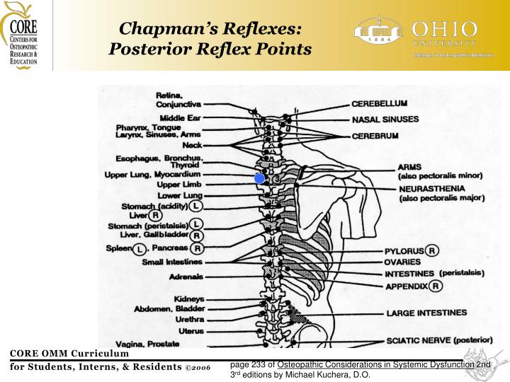 PPT - Osteopathic Evaluation &amp; Treatment The Patient with Respiratory ...