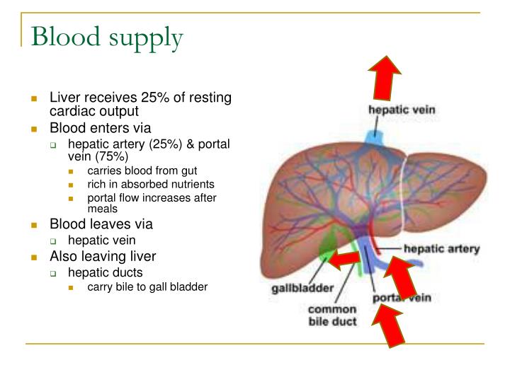 Ppt Drug Use In Chronic Liver Disease Powerpoint Presentation Free Download Id 363084