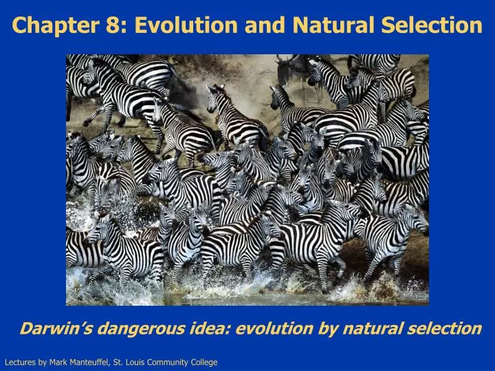 chapter 8 evolution and natural selection n.