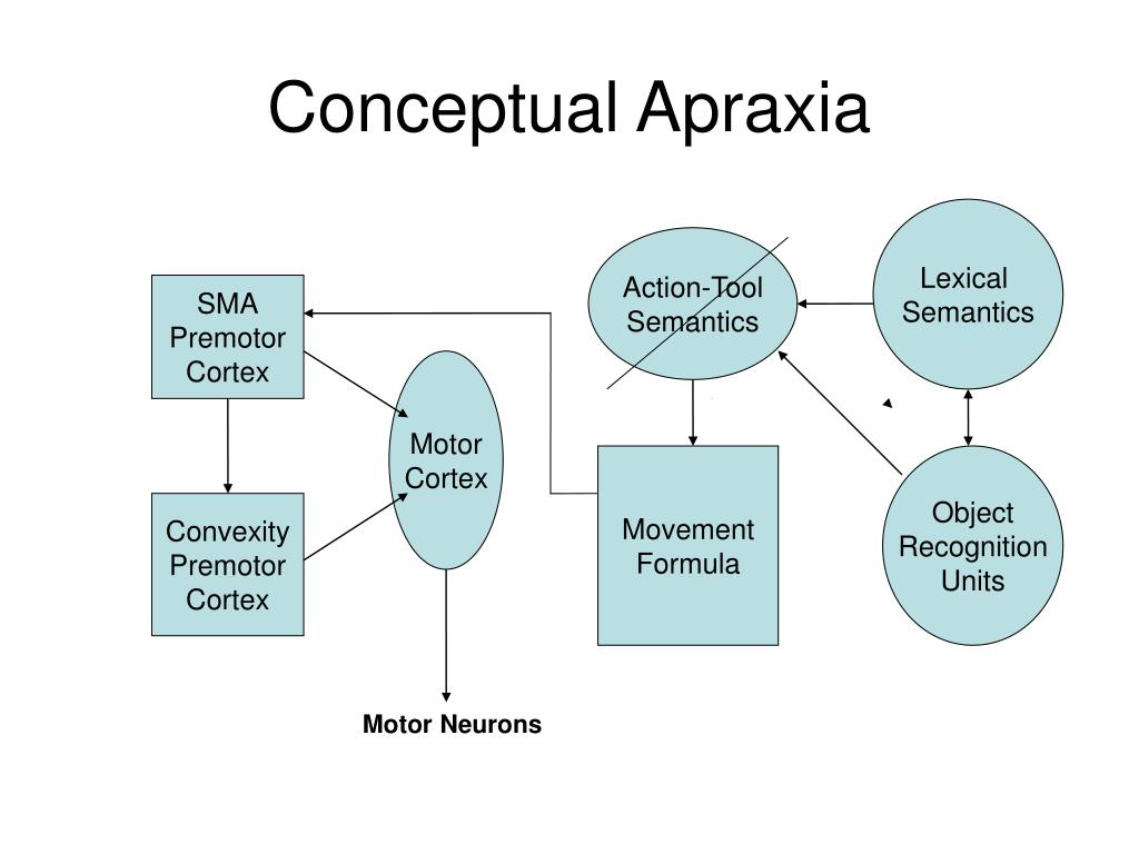 mechanical problem solving apraxia