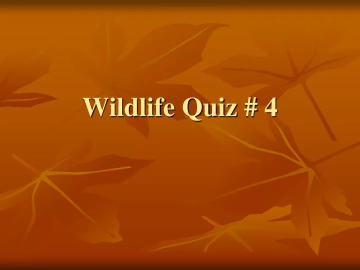 wildlife quiz 4 n.