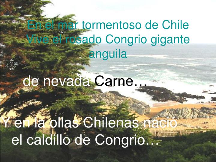 Ppt En El Mar Tormentoso De Chile Vive El Rosado Congrio Gigante Anguila Powerpoint Presentation Id