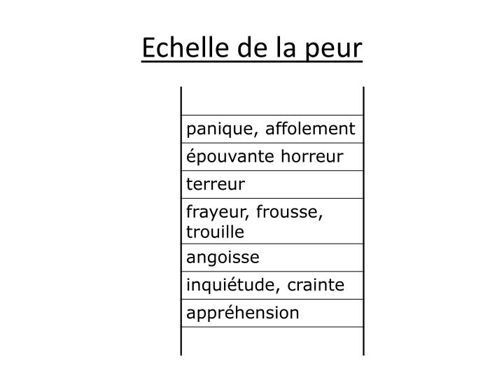 PPT - Enseigner le lexique à l’école primaire PowerPoint Presentation