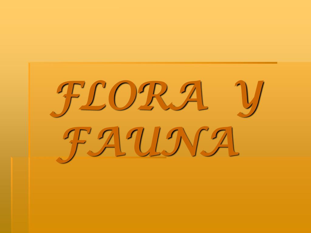Top 155 Diapositivas De Flora Y Fauna Anmb Mx