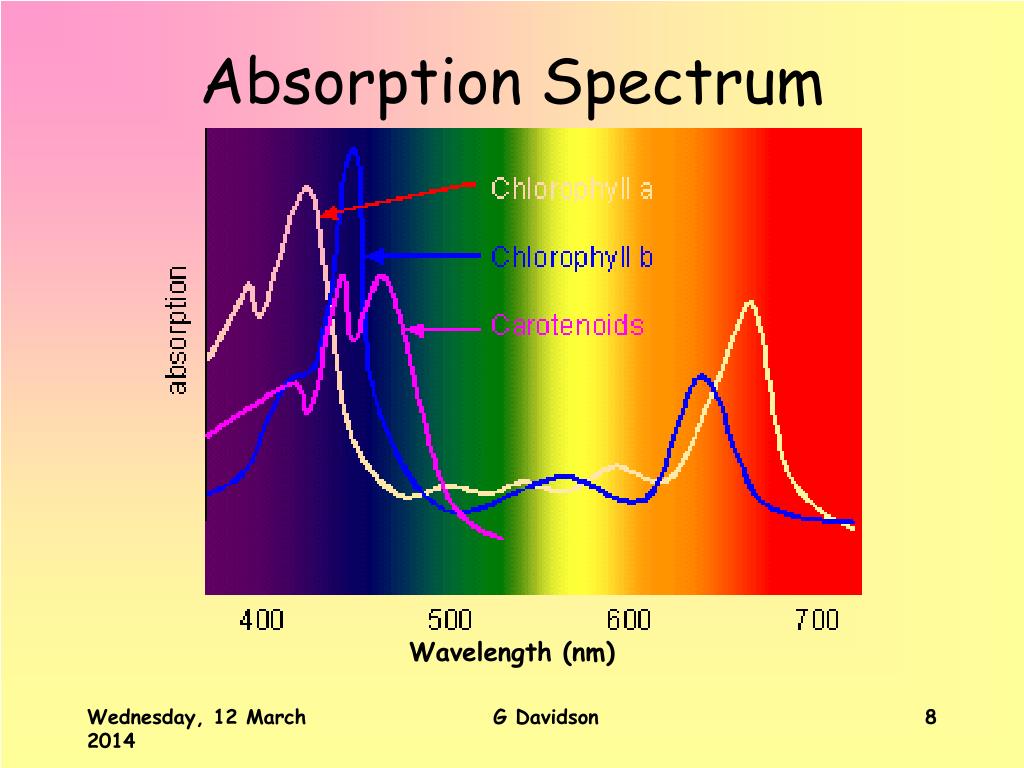 PPT Higher Biology PowerPoint Presentation, free download ID366128