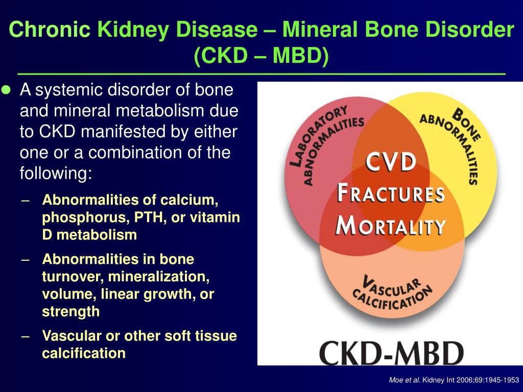 Bone mineral. Chronic Kidney disease–Mineral and Bone Disorder (CKD-MBD). Mineral Bone Disorders. CKD.
