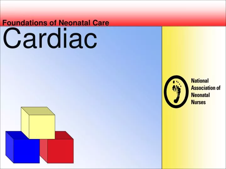 foundations of neonatal care n.