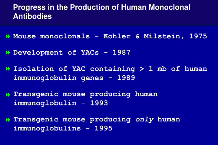 PPT - Monoclonal Antibodies in Cancer Treatment PowerPoint Presentation ...