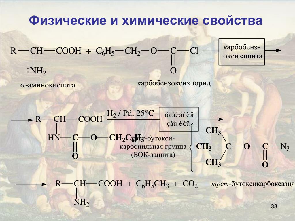 Тер аминокислота. Аминокислоты физические и химические свойства. Физические свойства аминокислот. Аминокислоты химические свойства и получение. Классификация аминокислот по физико-химическим свойствам.