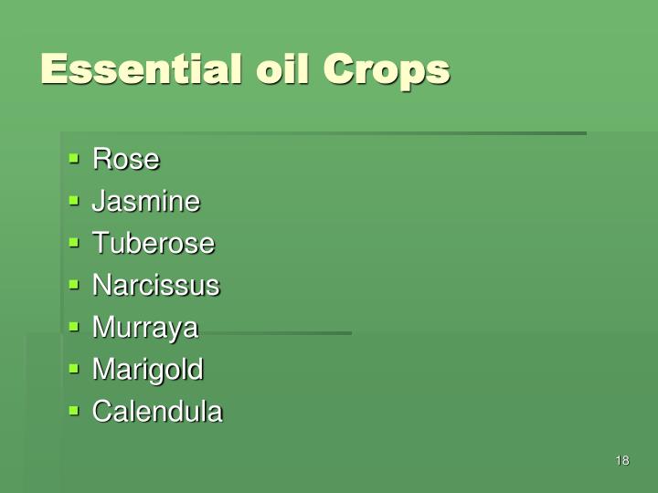PPT Value Addition in Floriculture PowerPoint Presentation ID368161
