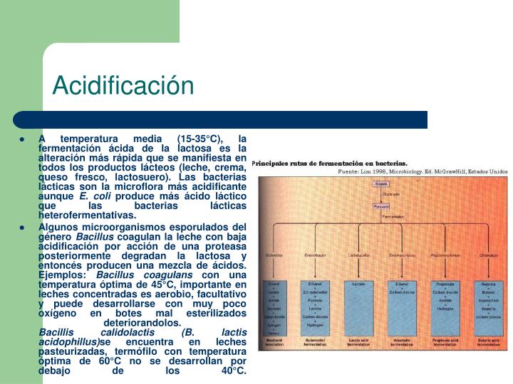 PPT - Microbiología de la leche y sus productos PowerPoint Presentation