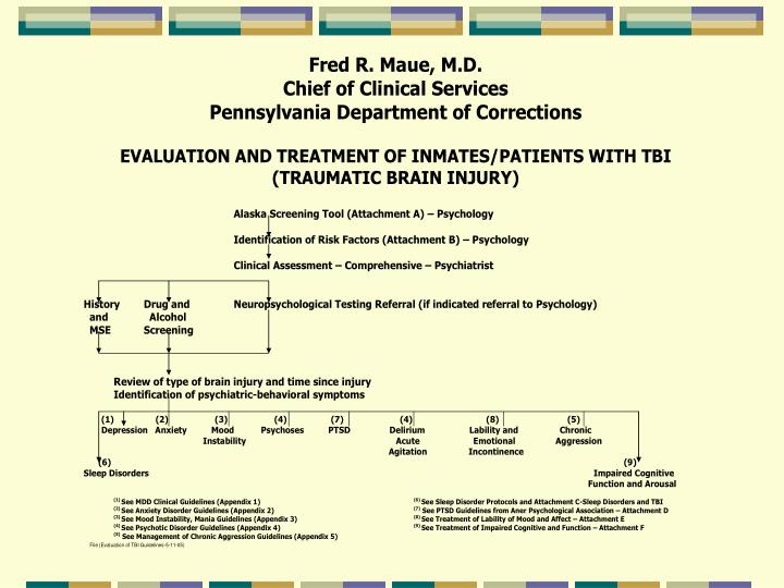 PPT - TBI - Neuroanatomy of TBA PowerPoint Presentation, free download
