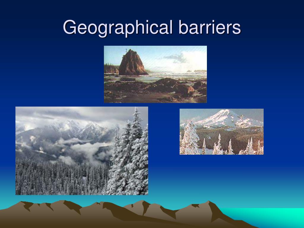 PPT Medical Dental Partnerships To Promote Oral Health PowerPoint 