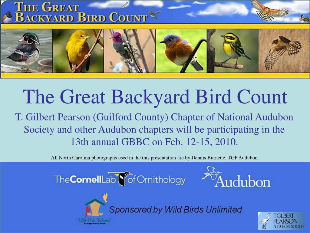 PPT - The Great Backyard Bird Count PowerPoint ...