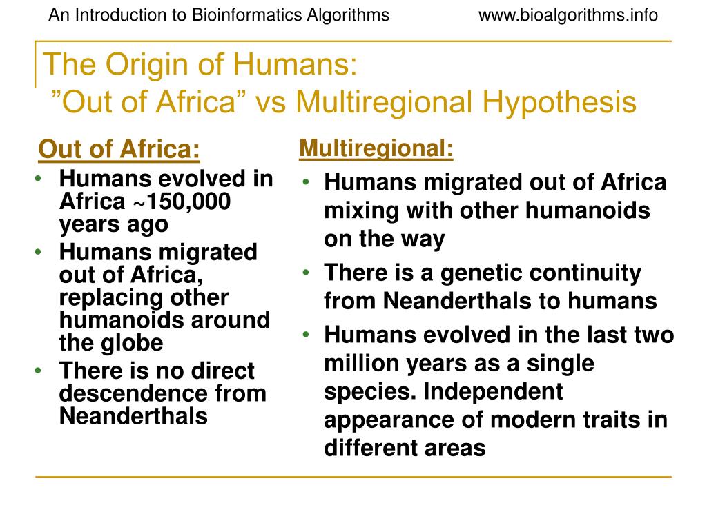 multiregional hypothesis definition biology