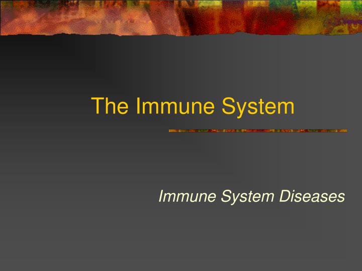 the immune system n.
