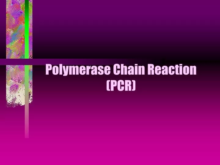 polymerase chain reaction pcr n.