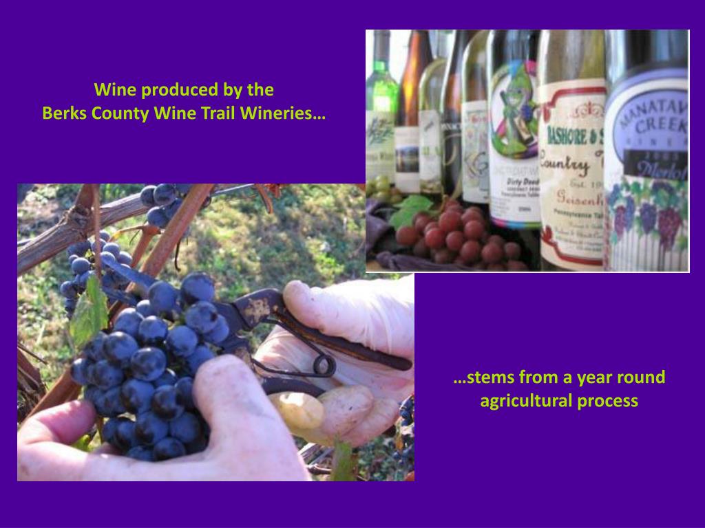 PPT Berks County Wine Trail PowerPoint Presentation, free download